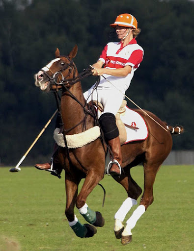 Tarquin Southwell Polo Player